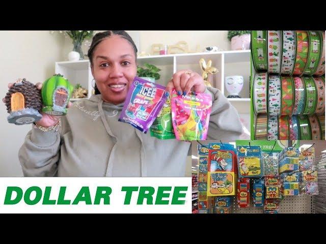 DOLLAR TREE HAUL * NEW FINDS