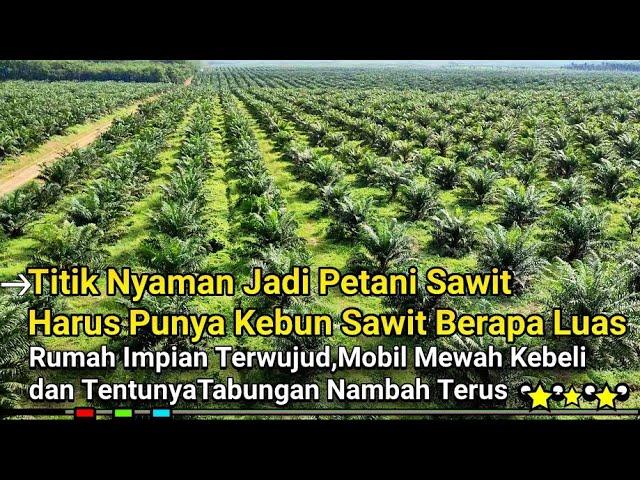 titik nyaman petani sawit punya kebun berapa luas