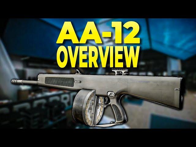 A COMPLETE AA-12 Shotgun BREAKDOWN - Escape From Tarkov