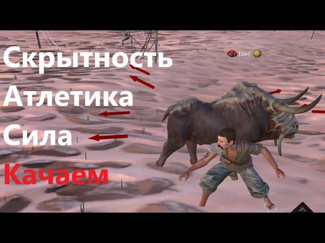 Kenshi. Мини-гайд по прокачке силы, атлетики и скрытности.