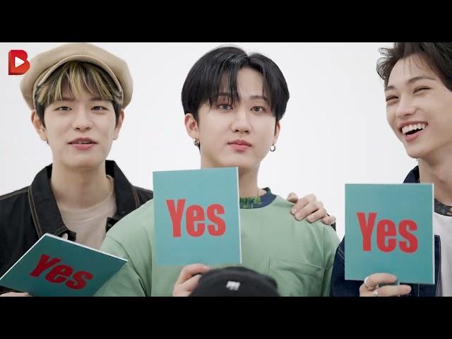 'Yes or No' Quiz Challenge with STRAY KIDS!