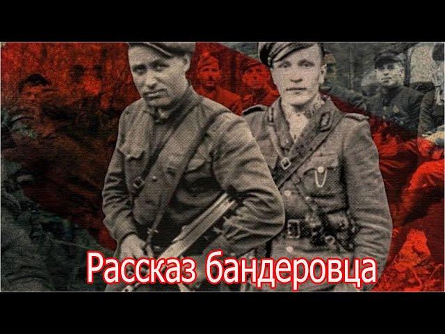 Рассказ бандеровца как они воевали на Украине