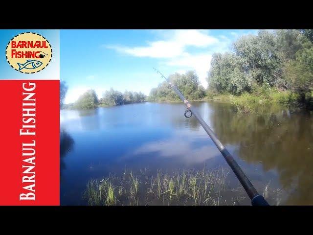 ПРОБНАЯ РЫБАЛКА В МАЕ,ЛОВЛЯ ХИЩНИКА (BARNAUL FISHING)