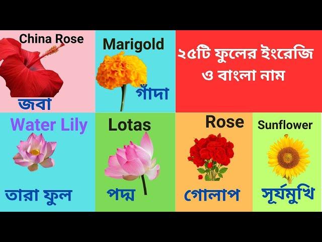 ২৫টি ফুলের বাংলা ও ইংরেজি নাম। 25 Flowers name with picture Bengali & English for kids।Fayan English