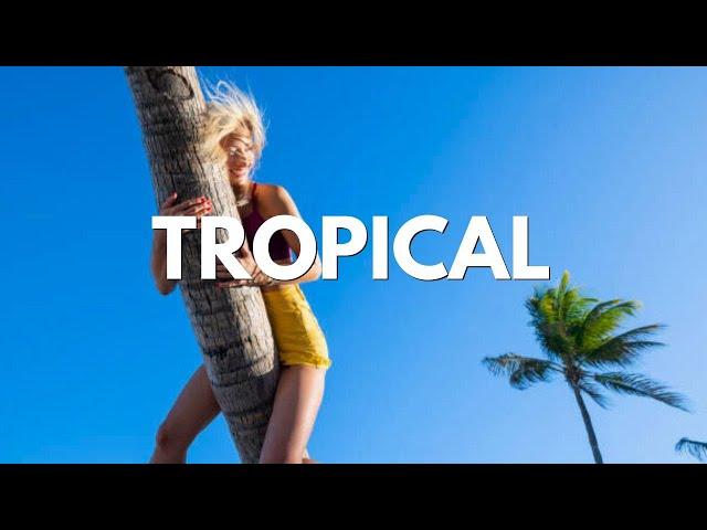 Faos —  Paradise Vibes (Tropical House)