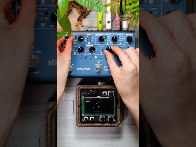 Monome Norns Shield + Strymon NightSky｜Dawless, Ambient, Soundscape, Experimental music　#shorts