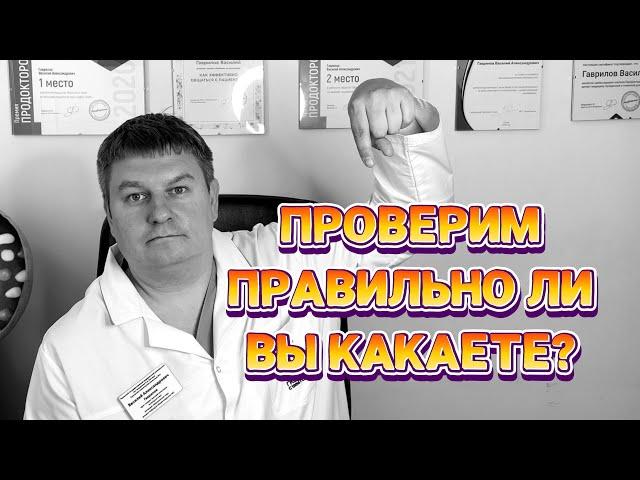 КАК КАКАТЬ? Обучает в игре врач-проктолог #туалет #проктолог