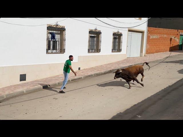 ‍️RECIBE A UN NOVILLO DE MARCEN CON GANAS DE REMATAR LAS VALLAS