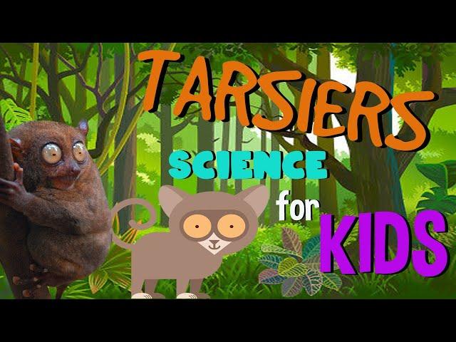 Fun Facts about Tarsiers | Science for Kids