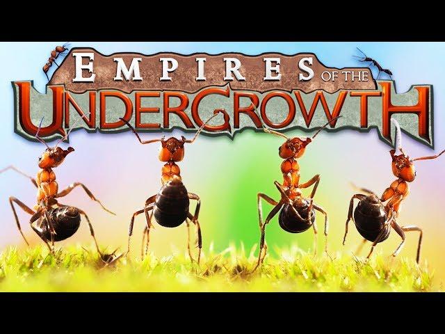 The Ant EMPIRE! - Building a Black ANT COLONY! - Empires of the Undergrowth Gameplay