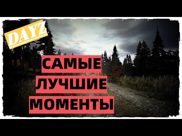 Самые лучшие моменты - Dayz