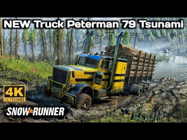 New Truck Peterman 79 Tsunami In SnowRunner Season 15 #snowrunner #offroad #truck