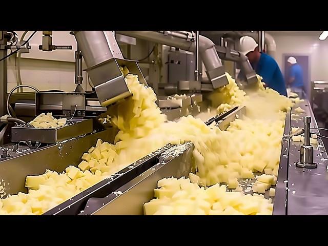 Why Parmesan Cheese is So Expensive | Production Process of $1000 Parmesan Wheels