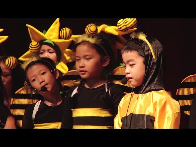 Primary Bee Musical 2017