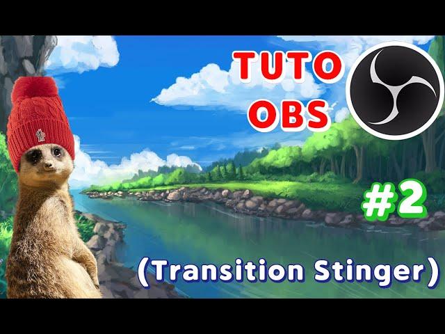 TUTO: TRANSITION sur OBS STUDIO (transition STINGER)