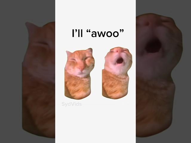 ÆoOoOOo