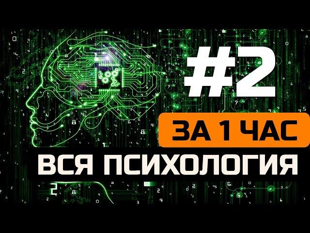 Вся психология за 1 час  Часть 2