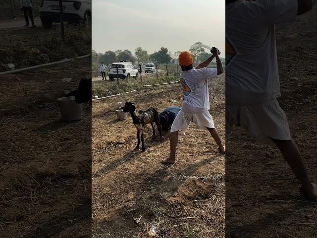 Takhat Shri Hazur Sahib Nanded ️