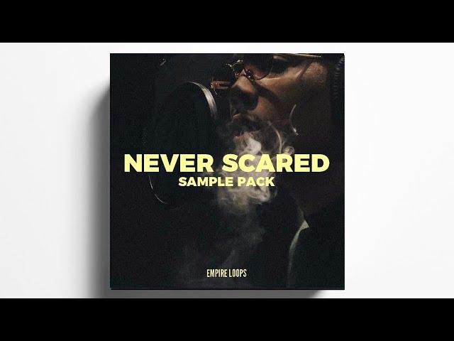 FREE VINTAGE SAMPLE CHOPS PACK - "NEVER SCARED" (G HERBO, MEEK MILL RICK ROSS LOOPS)