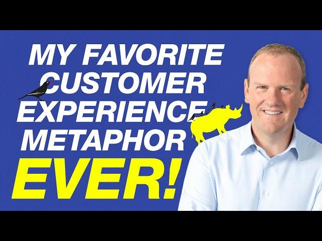 My favorite customer experience metaphor ever!  - by Steven Van Belleghem