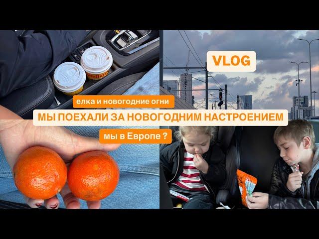 VLOG | Где брать новогоднее настроение? | Меня остановила полиция | Один дома и сантименты