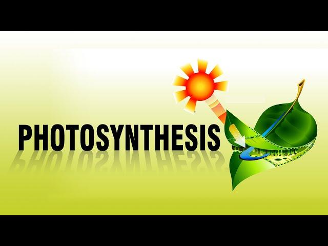 PHOTOSYNTHESIS