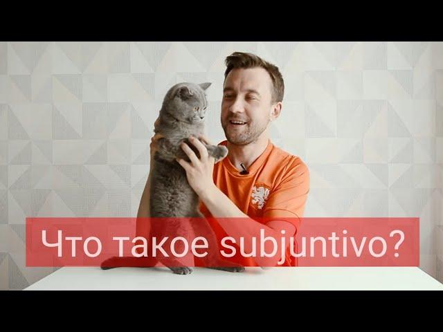 Что такое субхунтиво в испанском? - ¿Qué es el subjuntivo en español?