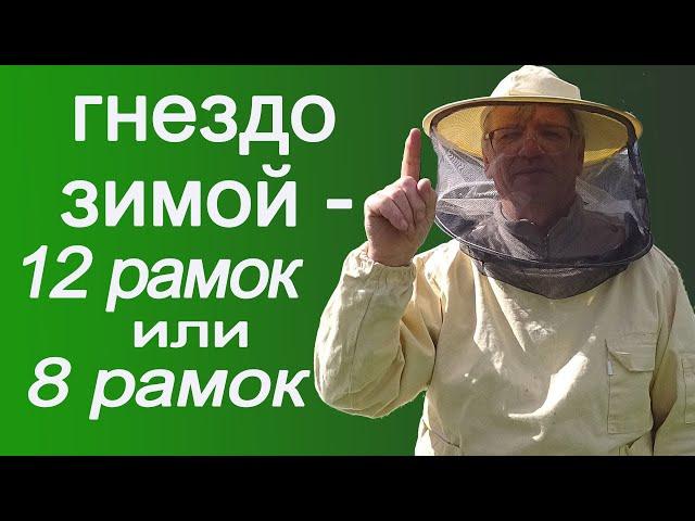 Сколько рамок в гнезде оставлять пчеловоду в зиму?