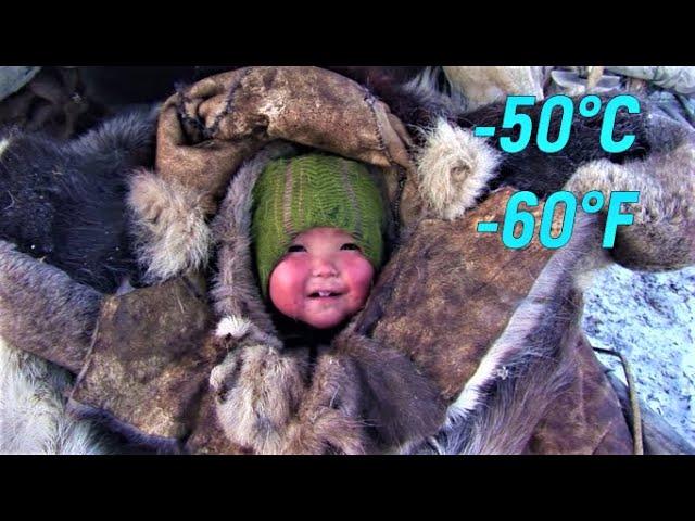 harsh life of Chukchi nomads in Arctic. No gadgets no pampers