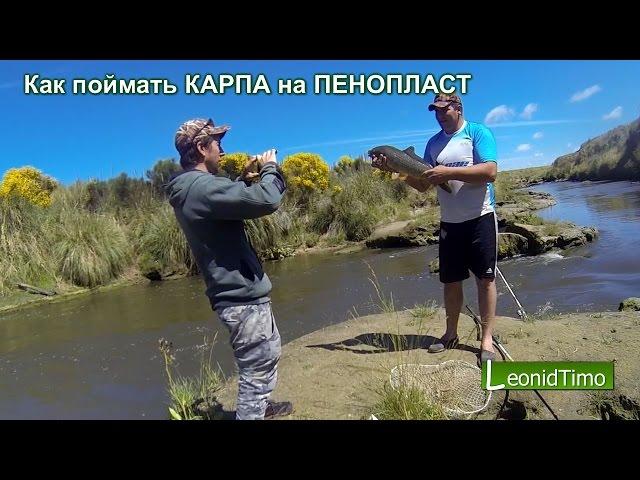 Как поймать КАРПА на ПЕНОПЛАСТ  Leonid Timo