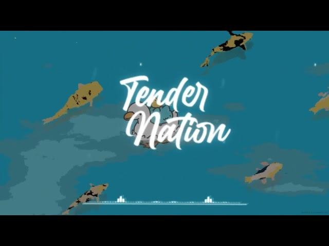 MUSICA PARA MEJORAR EL ANIMO | TENDER NATION