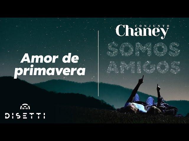 Conjunto Chaney - Amor De Primavera | Salsa con Letra Romantica