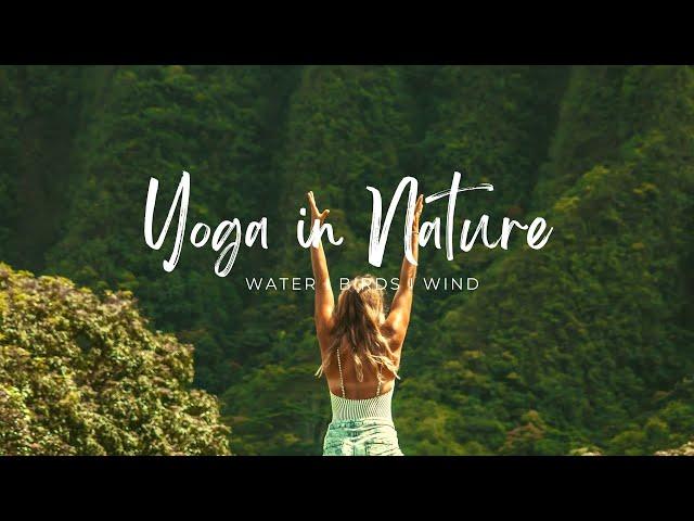 60 Minutes Yoga In Nature Music I Music With Nature Sounds I Meditate I Relax