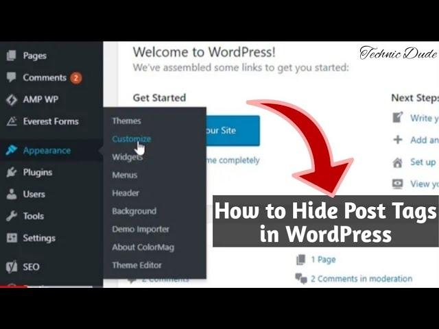 How to Hide Tags in Wordpress Post ?