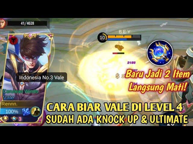 VALE BUILD TERSAKIT 2021 | PENJELASAN PASIF & CARA COMBO SKILL VALE | BEST BUILD VALE