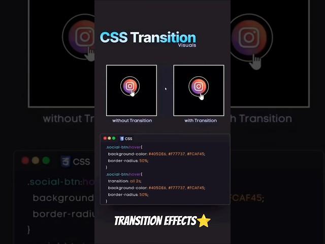 Transition Effects in CSS ⭐ #coding #html #programming