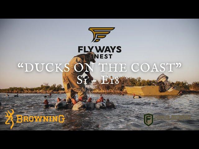 200 DUCKS in a HOUR! NONSTOP DUCKS DECOYING on the COASTS of MEXICO! Bucket List DUCK HUNT in EP 18