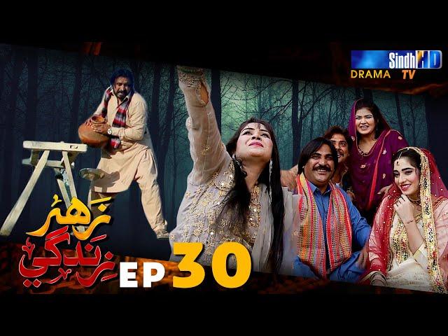 Zahar Zindagi - Ep 30 | Sindh TV Soap Serial | SindhTVHD Drama