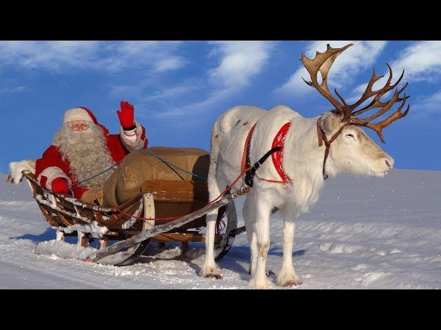 Père Noël & rennes pour les enfants les meilleures vidéos du Papa Noël Laponie Finlande Rovaniemi