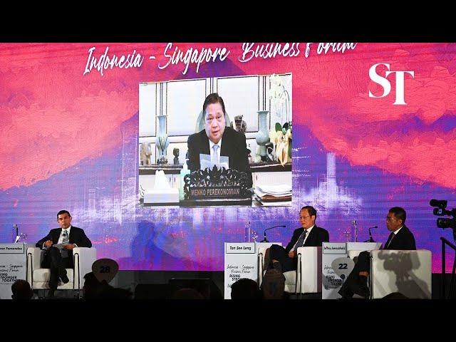 Highlights from the Indonesia-Singapore Business Forum