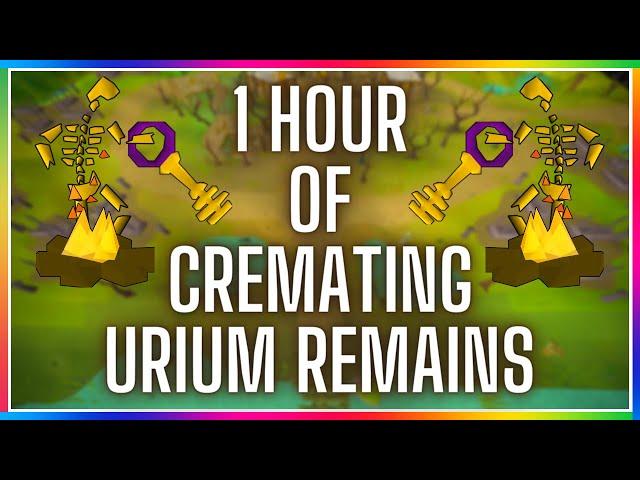 OSRS P2P - Cremating Urium Remains | Testing OSRS Wiki Money Making Methods | 2021