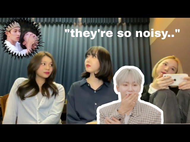 kpop idols (almost) losing their patience because of seventeen being loud