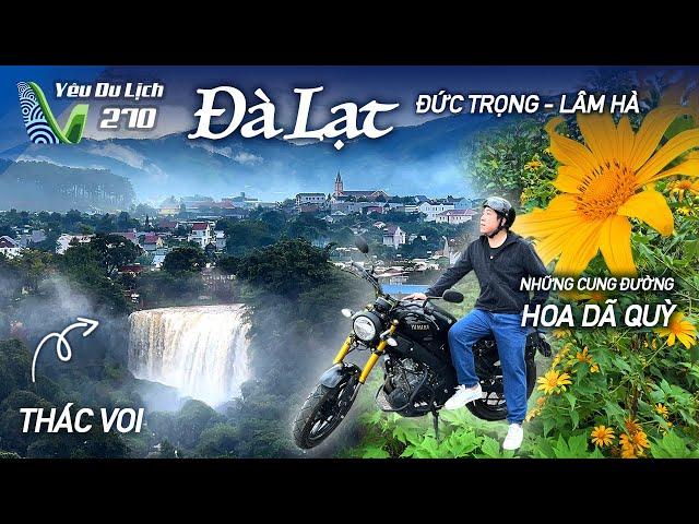 YDL #270: Đi Đà Lạt mùa hoa dã quỳ, khám phá Thác Voi siêu đẹp | Yêu Máy Bay