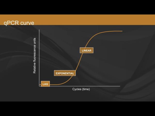 Overview of qPCR