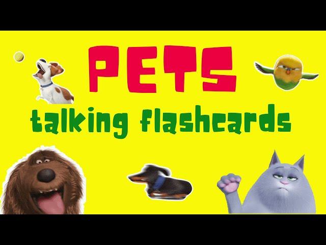 Pets Talking Flashcards