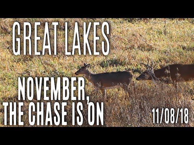 Great Lakes 2018 | November, The Chase Is On