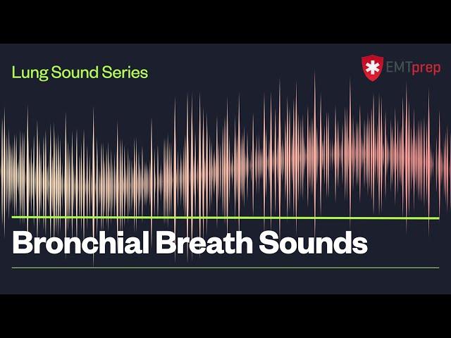 Bronchial Breath Sounds - EMTprep.com