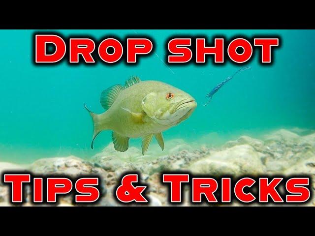 Dropshot Tricks For Hot Summer Fishing! (Beginner To Advanced)