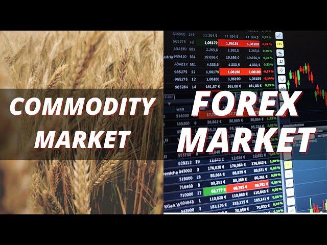 Commodity Market Vs. Forex Market | Which is better? | Daily Commodity