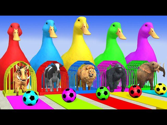 Long Slide Game With Elephant Gorilla Buffalo Hippopotamus Tiger 3d Animal Game Funny 3d Animals